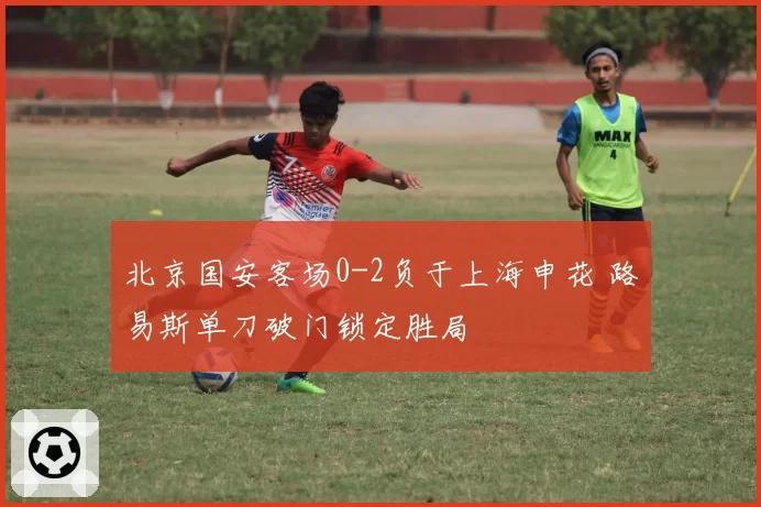 北京国安客场0-2负于上海申花 路易斯单刀破门锁定胜局