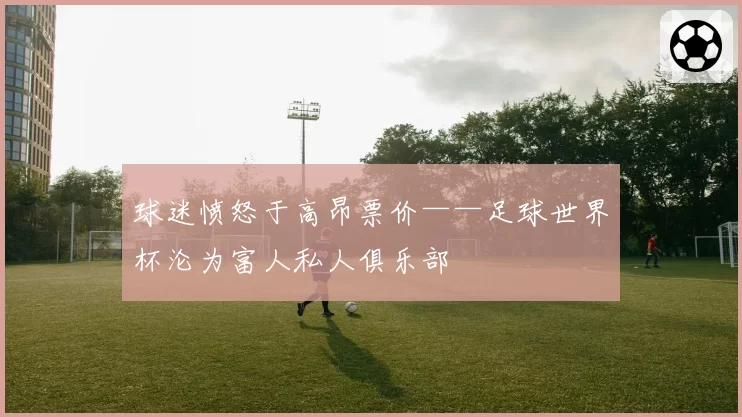 球迷愤怒于高昂票价——足球世界杯沦为富人私人俱乐部